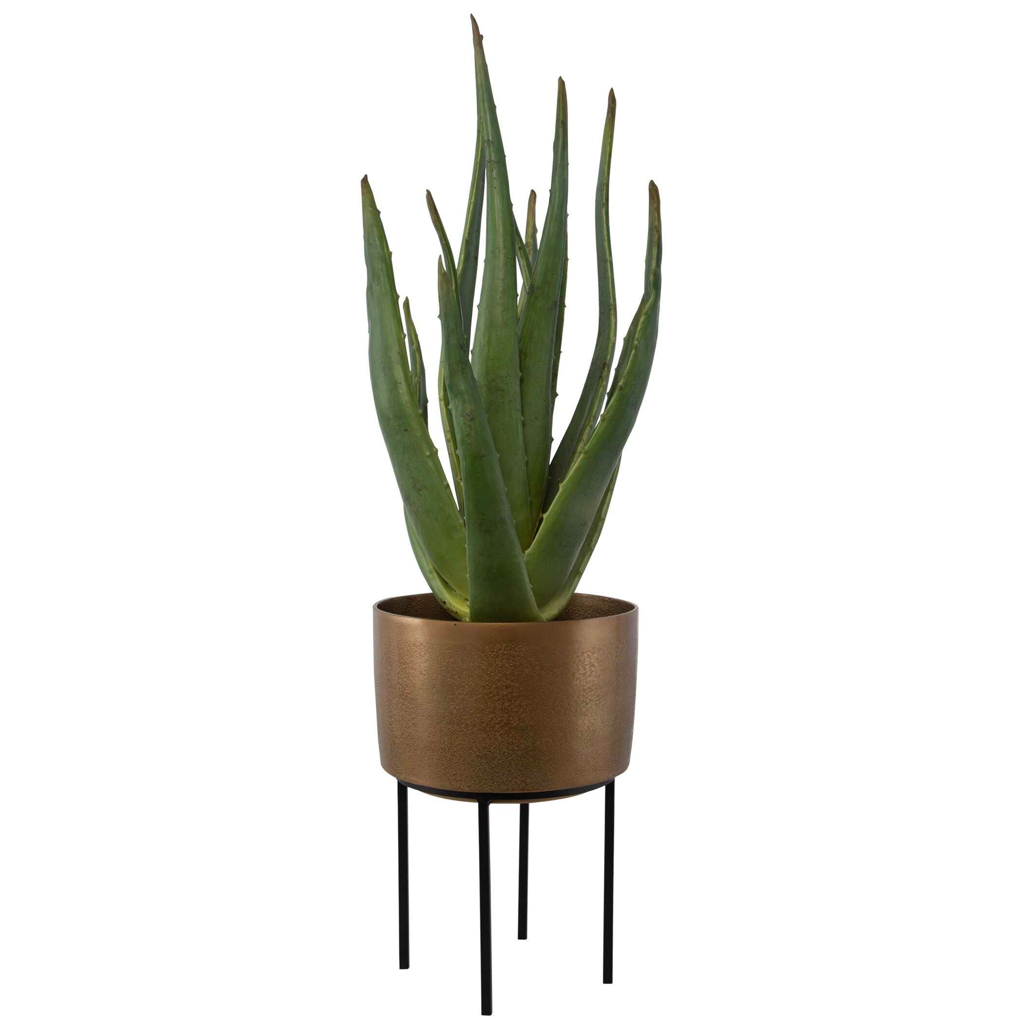 Arabia - Aloe Planter - Brown - Image 2