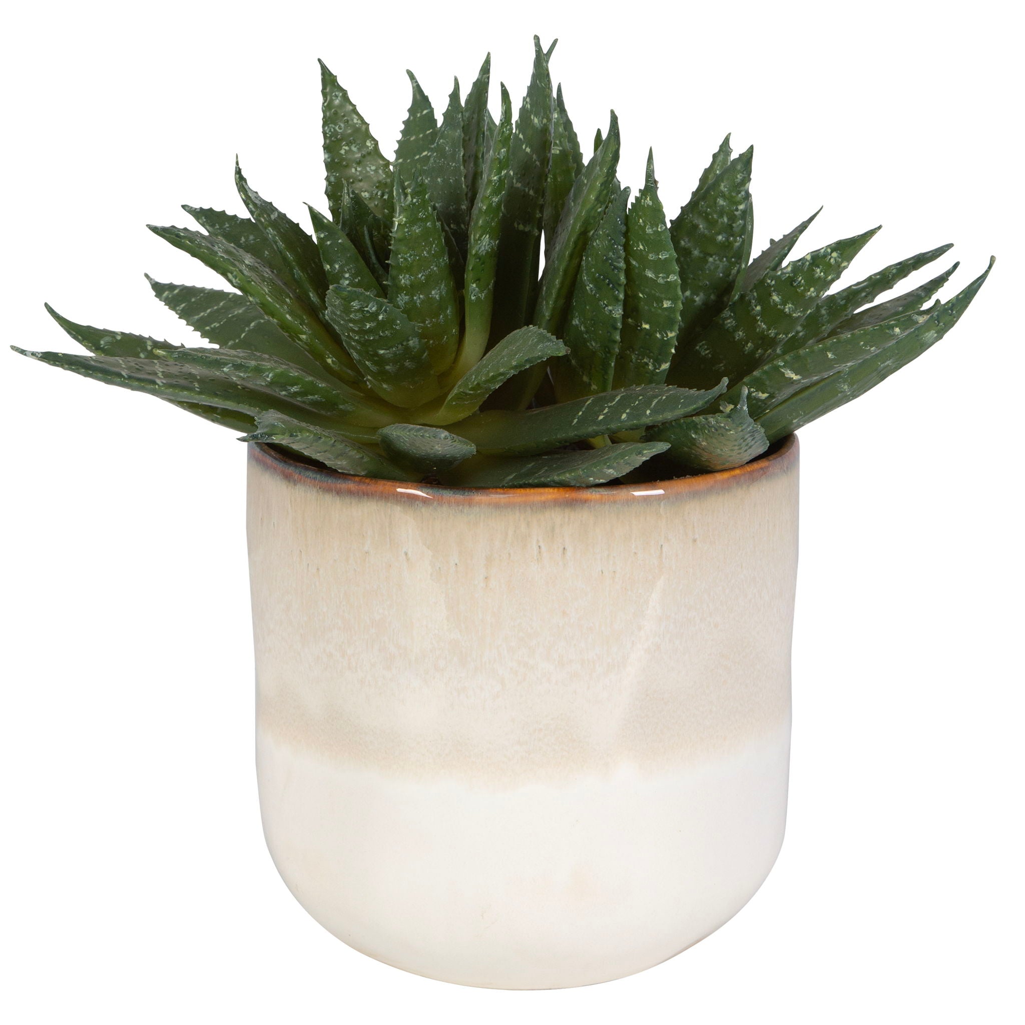 Doha – Succulent Accent – Pearl Silver