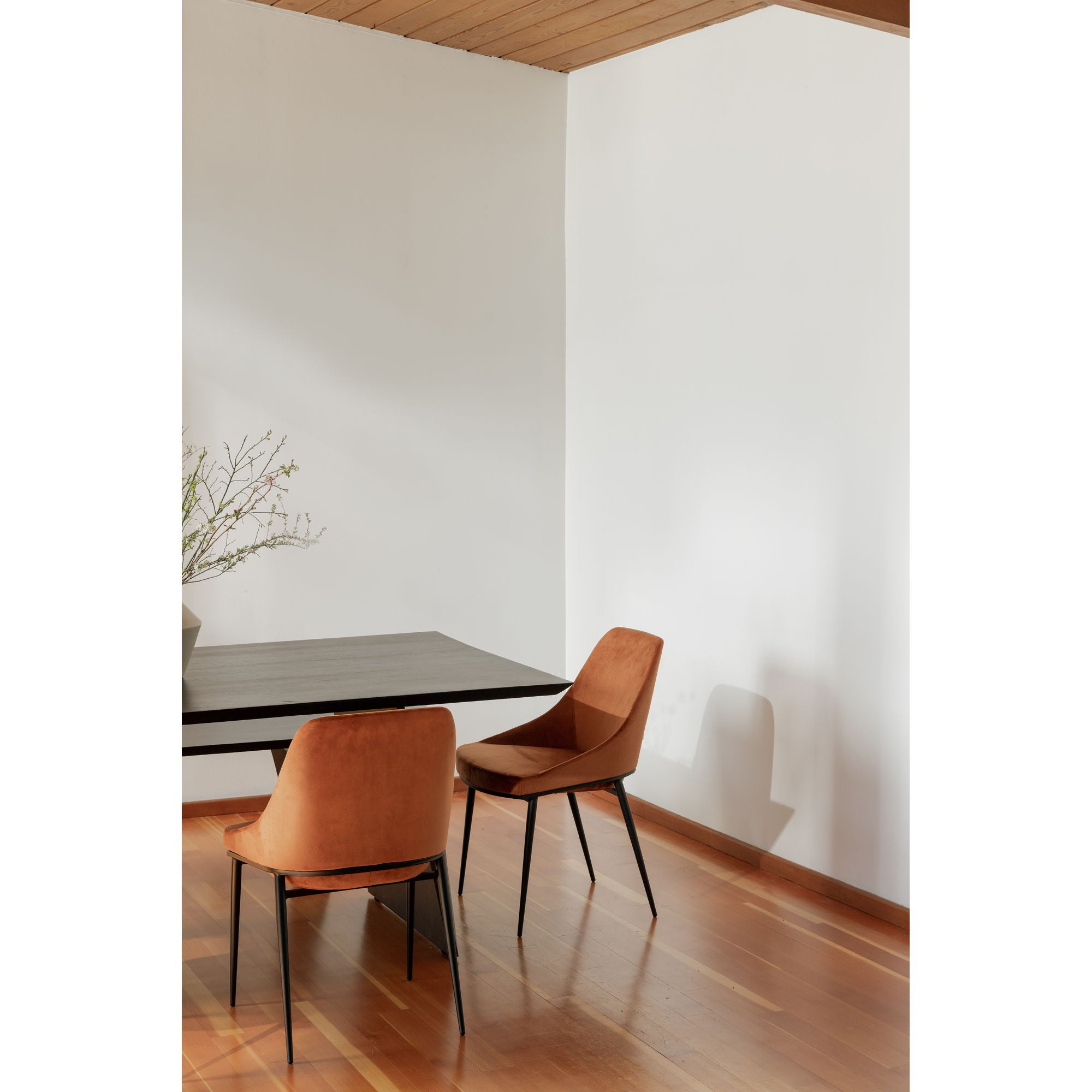 Sedona - Dining Chair (Set of 2) - Amber - Image 2