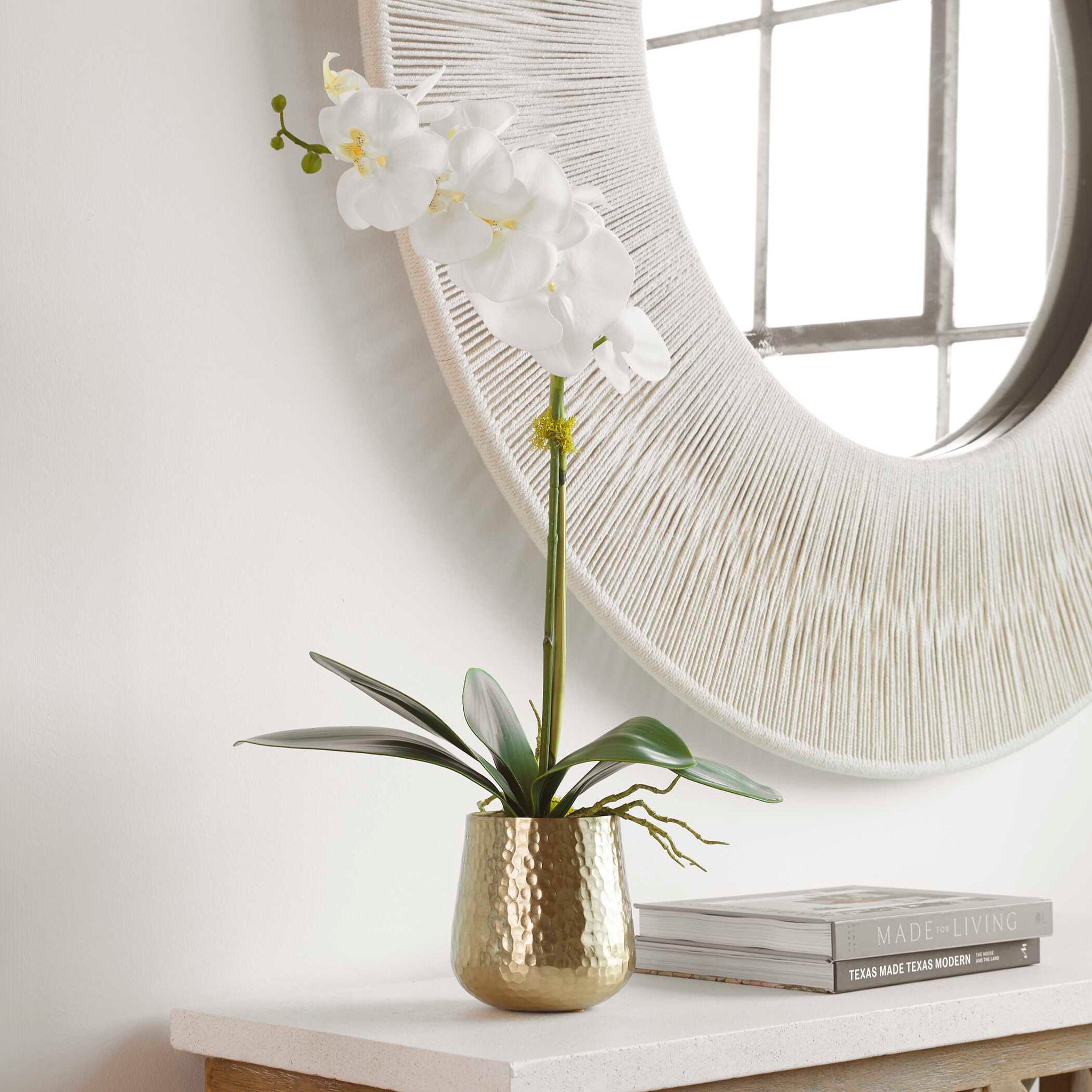 Cami Orchid - Orchid With Brass Pot - White - Image 2