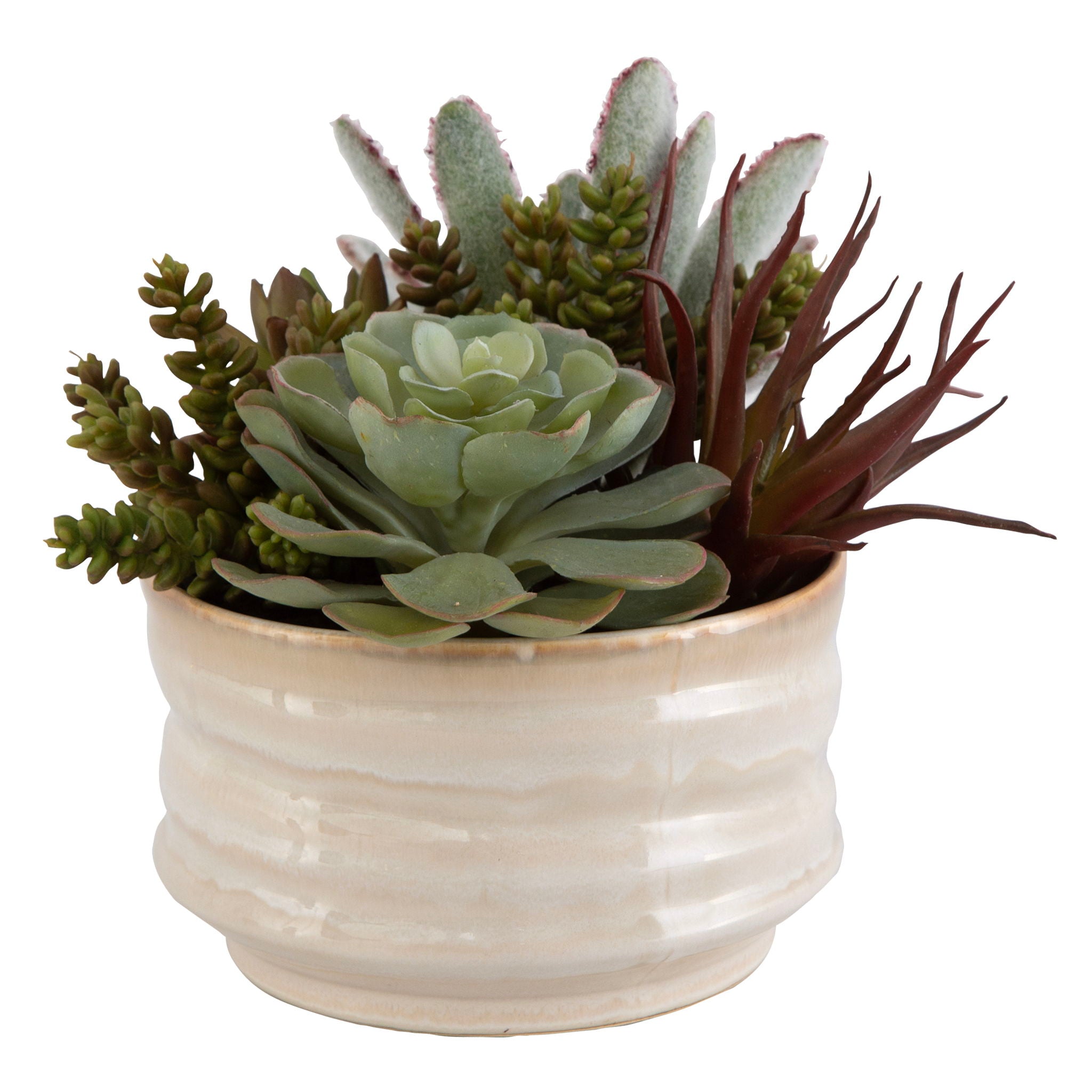 Mesa Succulent Accent – Pearl Silver