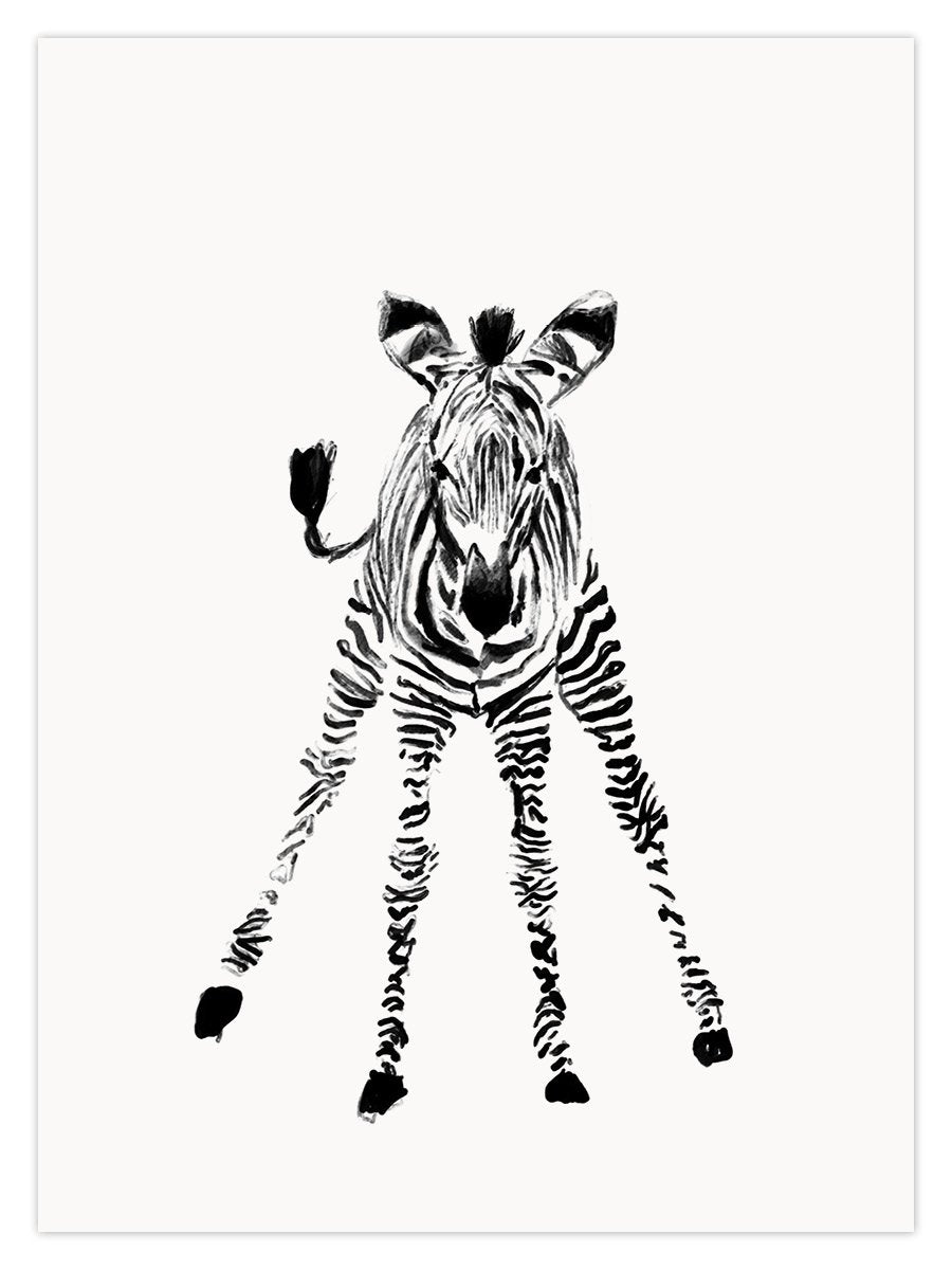 Baby Zebra (W) - Image 1