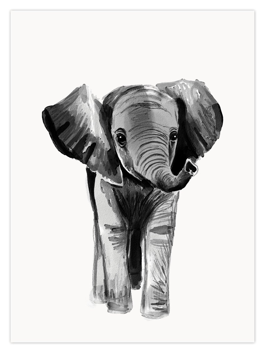 Baby Elephant (W) - Image 1
