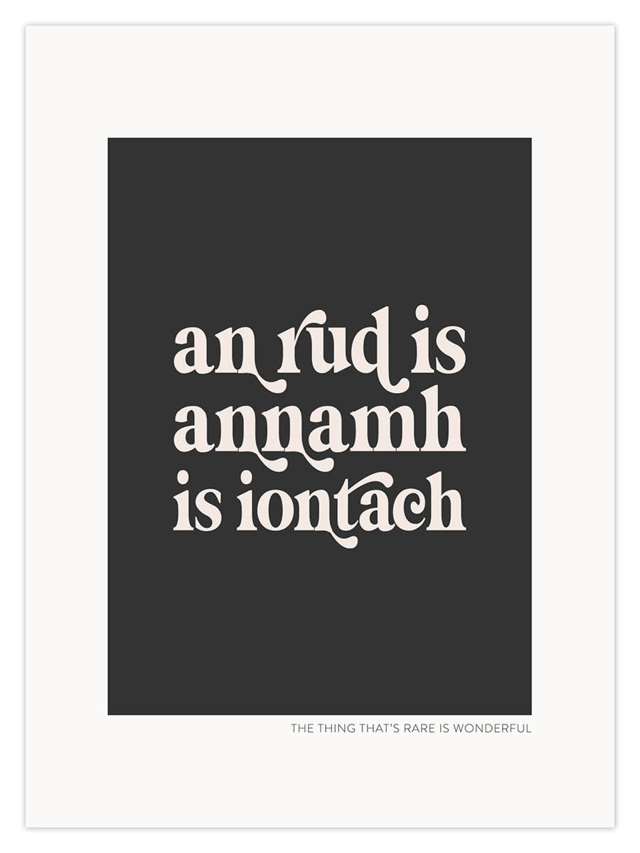 an rud is annamh is iontach (W) - Image 2