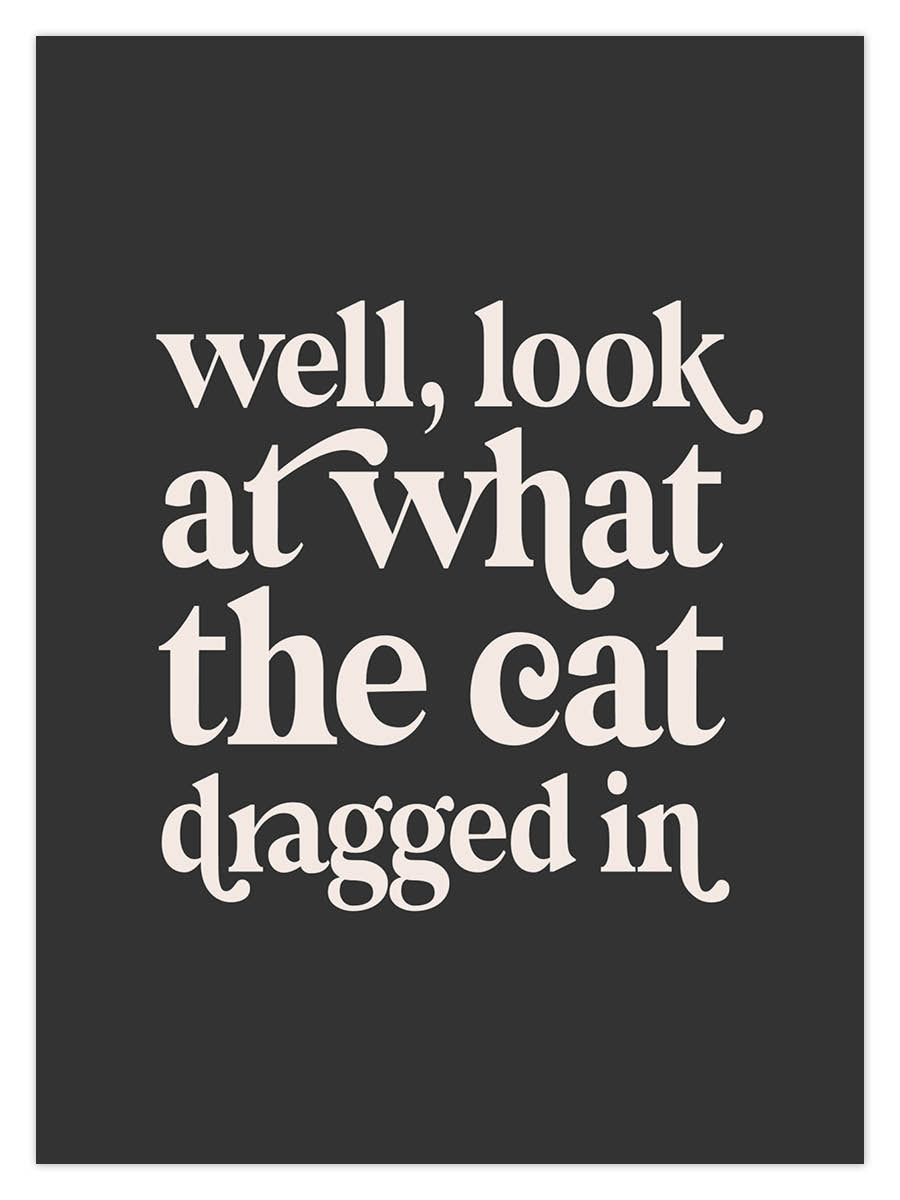 Cat Dragged In (W) - Image 2