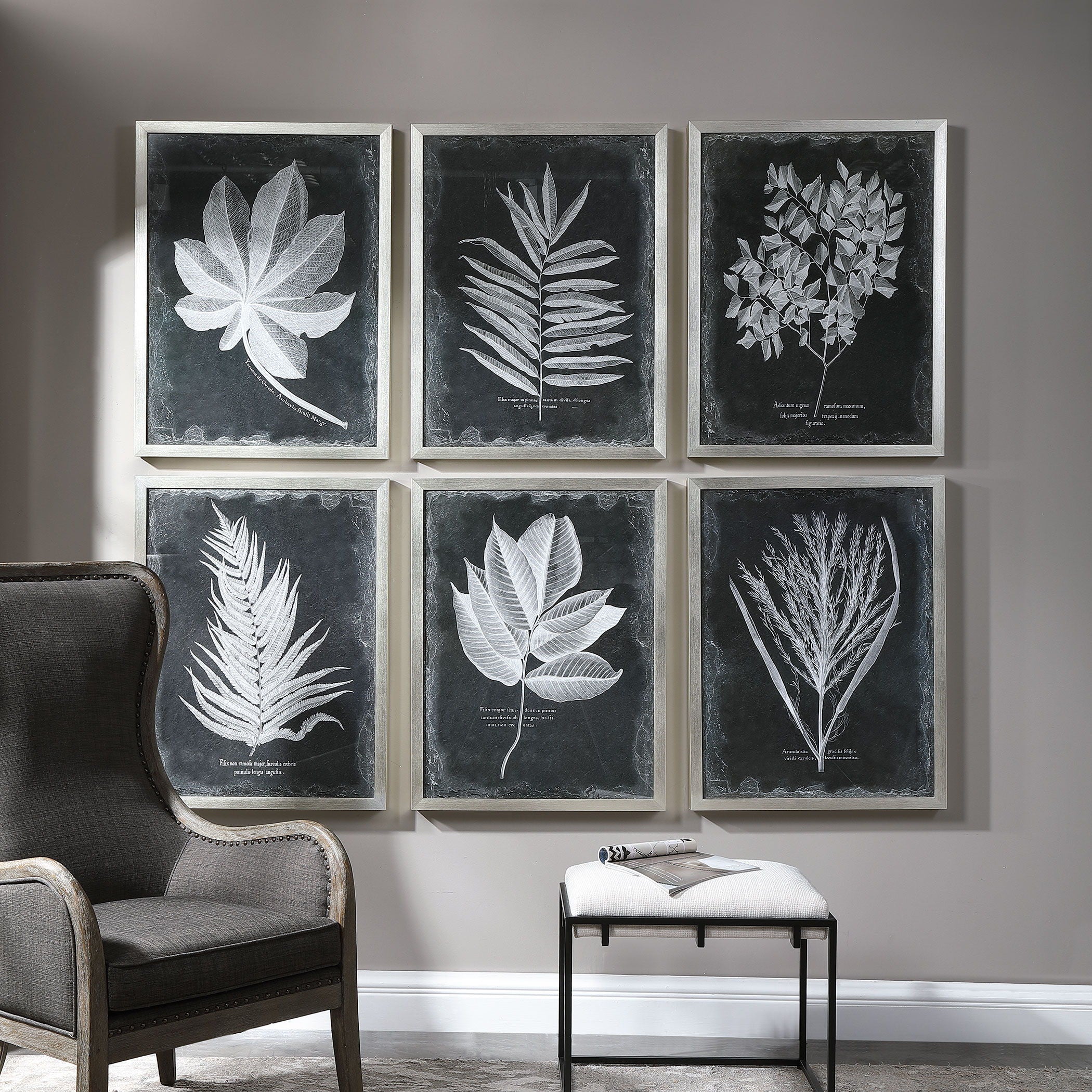 Foliage - Framed Prints (Set of 6) - Black - Image 2