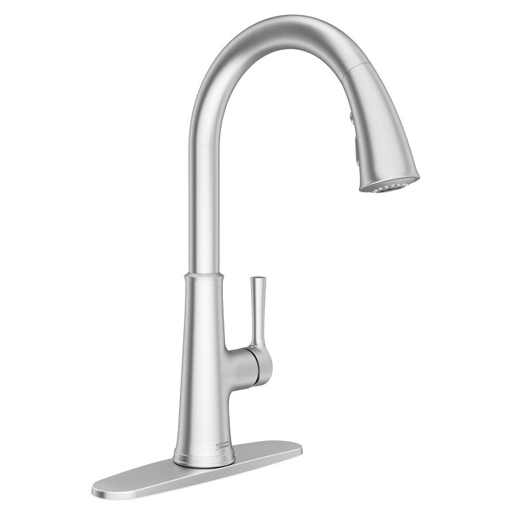Kitchen Faucet Renate 1 Lever ADA Stainless Steel Pull Down 1.5GPM - Image 1