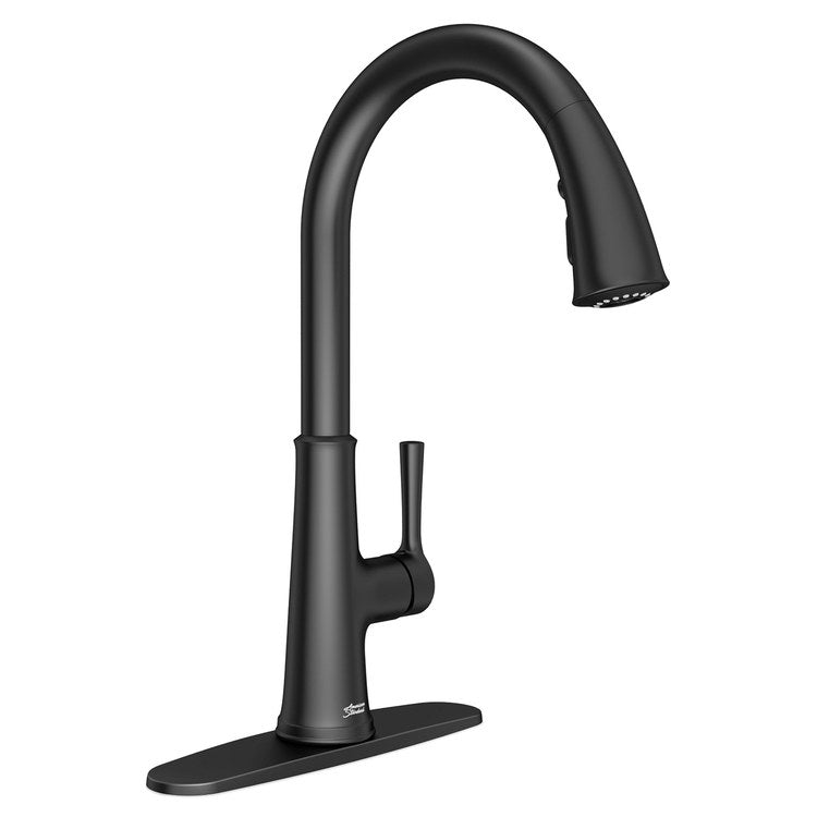 Kitchen Faucet Renate 1 Lever ADA Matte Black Pull Down 1.5GPM - Image 1