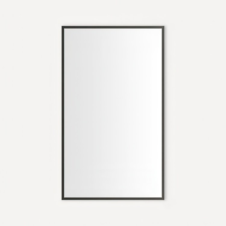 Medicine Cabinet Craft Cabinet Series 24 x 40 Inch 1 Doors Mirrored Iron Black Flat Top Thin Framed Slow Close - Image 1