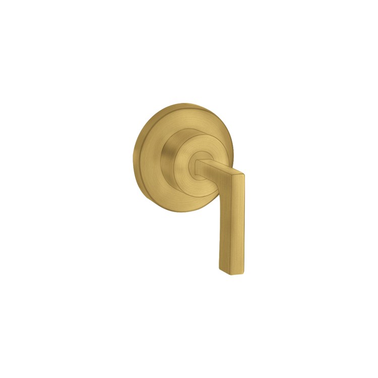 Volume Control Trim Citterio 1 Lever Brushed Gold Optic ADA - Image 1