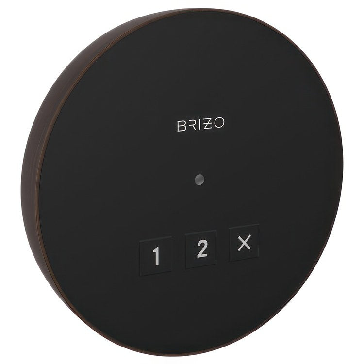 Steambath Control Mystix Elemental Experience Round Exterior Venetian Bronze Surface Mount Outside Steam Room - Image 1
