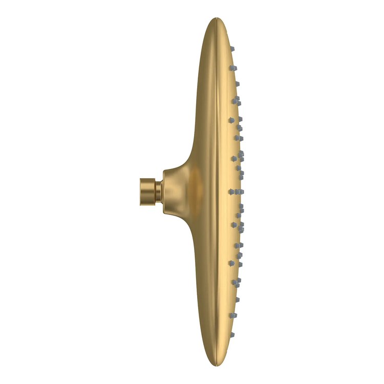 Showerhead Spectra 1 Functions Rain Brushed Cool Sunrise 11 Inch 1.8 Gallons per Minute - Image 1