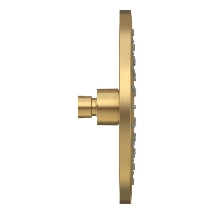 Showerhead Studio S 1 Functions Rain Brushed Cool Sunrise 8 Inch 1.8 Gallons per Minute - Image 2