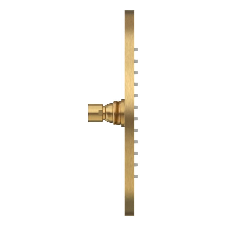 Showerhead Modern 1 Functions Rain Brushed Cool Sunrise 10 Inch 2.5 Gallons per Minute - Image 2