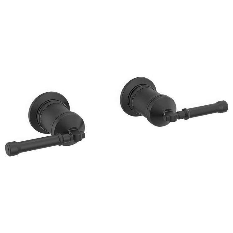 Handle Kit Broderick Brass 2 Lever Matte Black ADA for Wall Mount Filler - Image 1