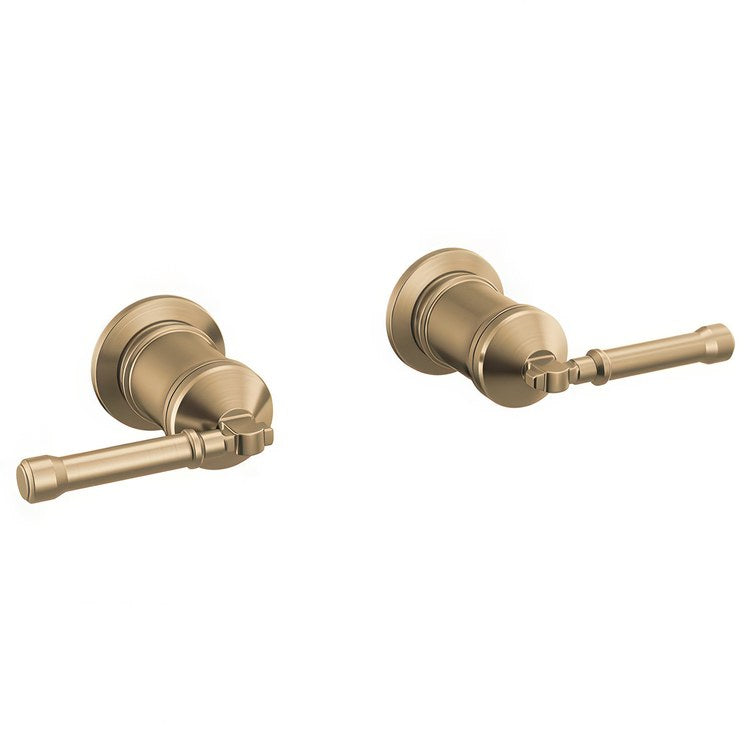 Handle Kit Broderick Brass 2 Lever Lumicoat Champagne Bronze ADA for Wall Mount Filler