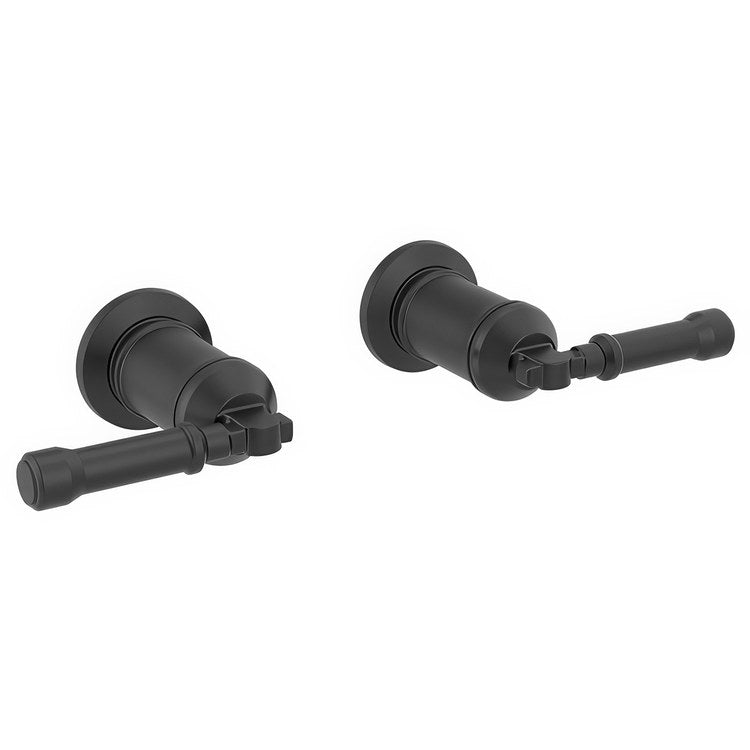 Handle Kit Broderick Brass 2 Lever Matte Black ADA for Faucet - Image 1
