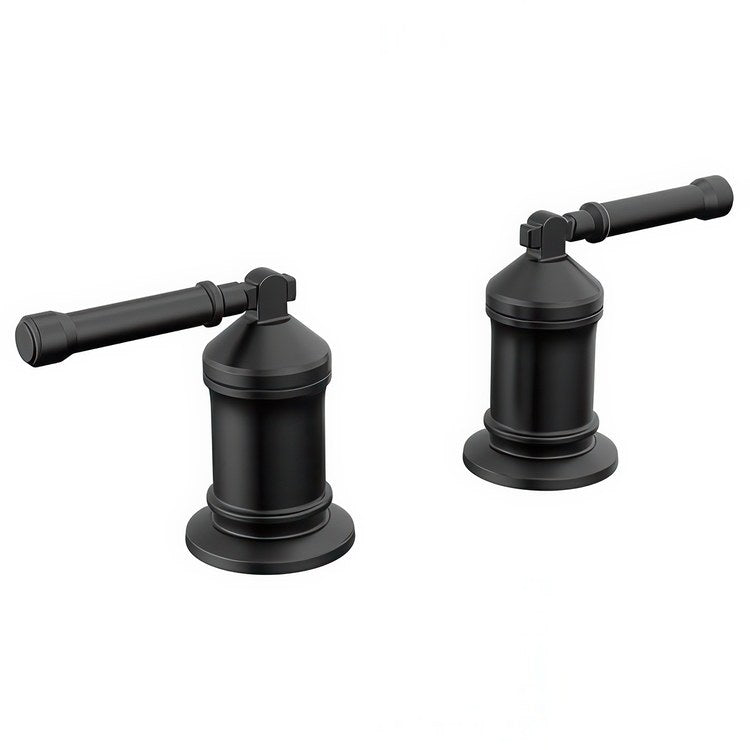 Handle Kit Broderick Brass 2 Lever Matte Black ADA for Filler