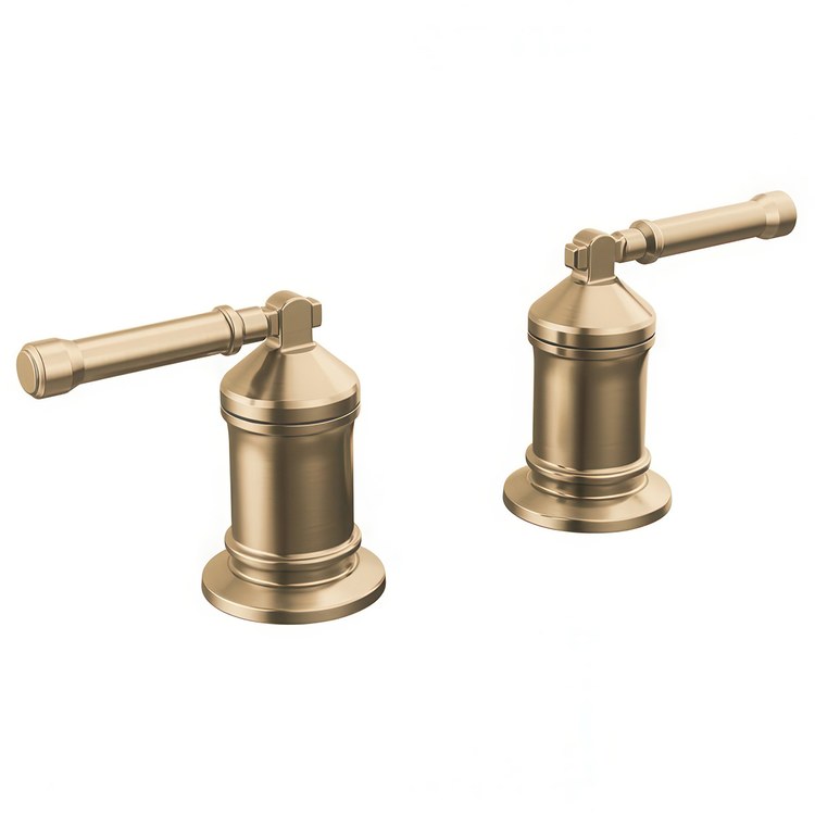 Handle Kit Broderick Brass 2 Lever Lumicoat Champagne Bronze ADA for Filler