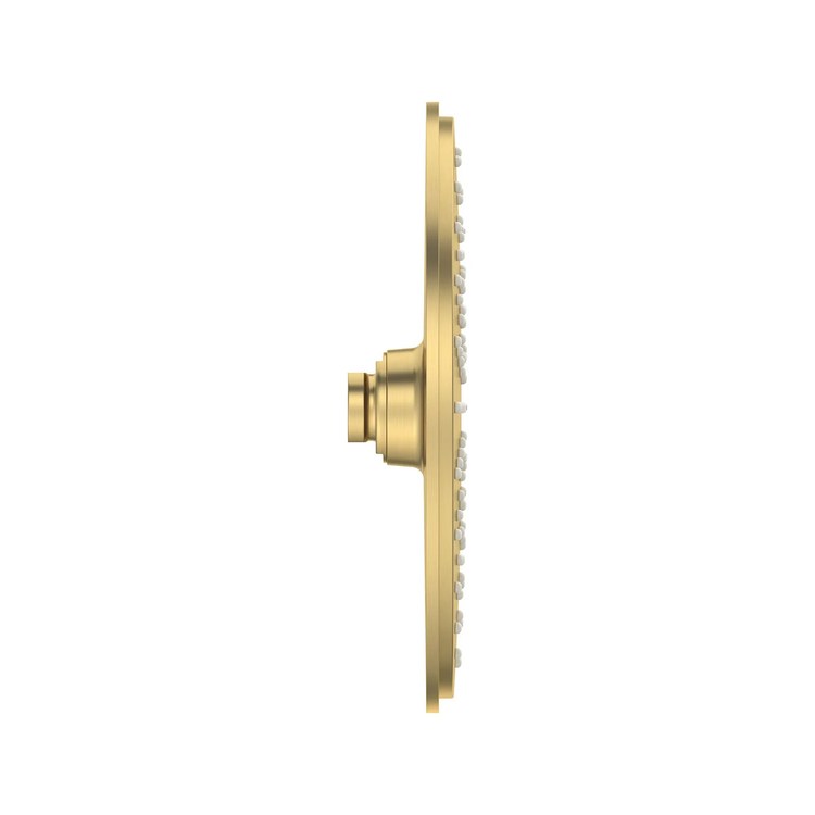 Showerhead Cosmopolitan 120 1 Functions Brushed Cool Sunrise 8-1/4 Inch 1.75 Gallons per Minute ADA - Image 3