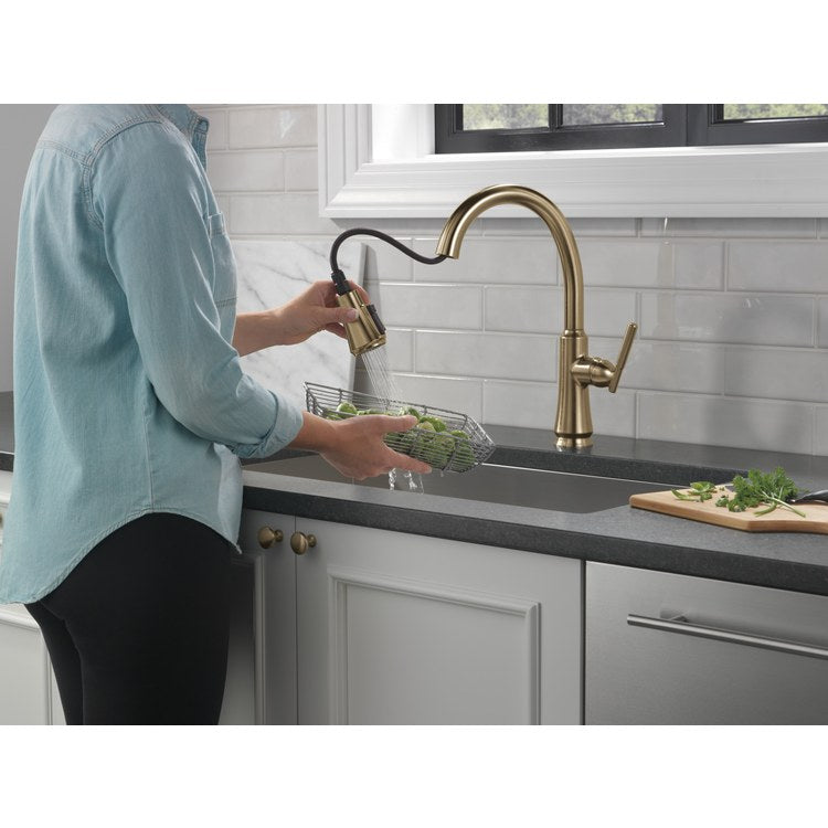 Kitchen Faucet Coranto 1 Lever ADA Brilliance Champagne Bronze Pull Down 2 Function High Arc 360 DEG Swivel 1 Hole Diamond Seal Touch-Clean MagnaTite ShieldSpray 1.8 Gallons per Minute - Image 2