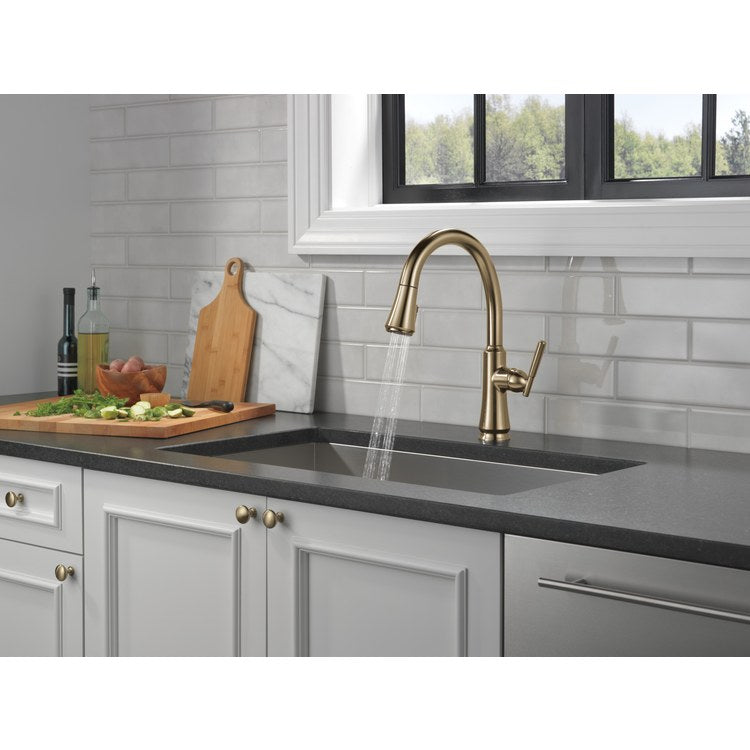 Kitchen Faucet Coranto 1 Lever ADA Brilliance Champagne Bronze Pull Down 2 Function High Arc 360 DEG Swivel 1 Hole Diamond Seal Touch-Clean MagnaTite ShieldSpray 1.8 Gallons per Minute - Image 3