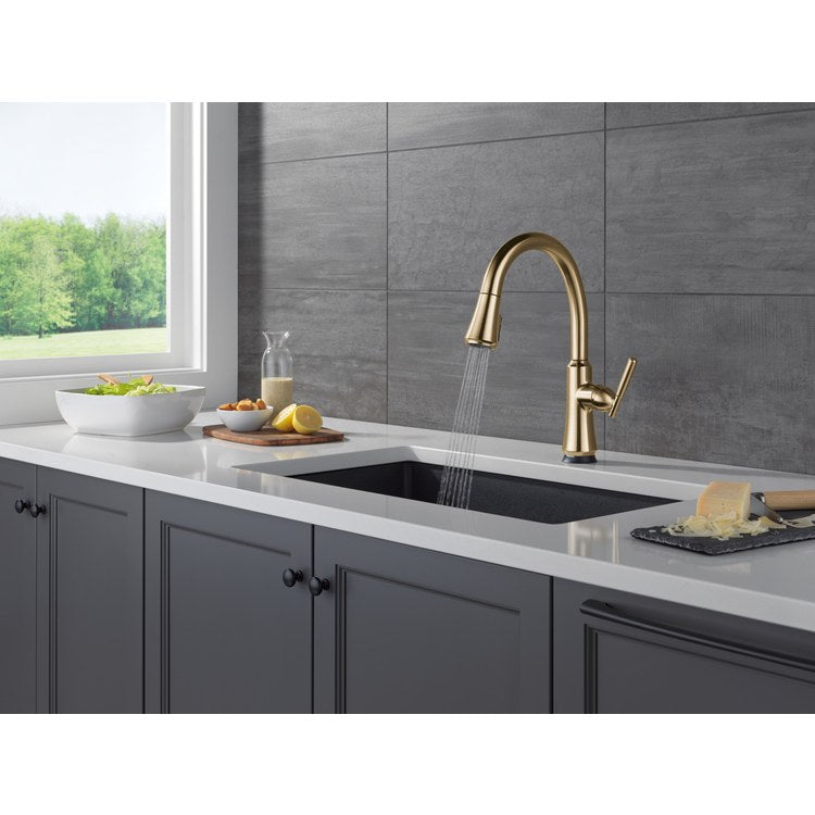 Kitchen Faucet Coranto 1 Lever ADA Brilliance Champagne Bronze Pull Down 3 Function High Arc 360 DEG Swivel 1 Hole SoftTouch Diamond Seal ShieldSpray Touch2O MagnaTite VoiceIQ Touchless 1.8 Gallons per Minute - Image 2