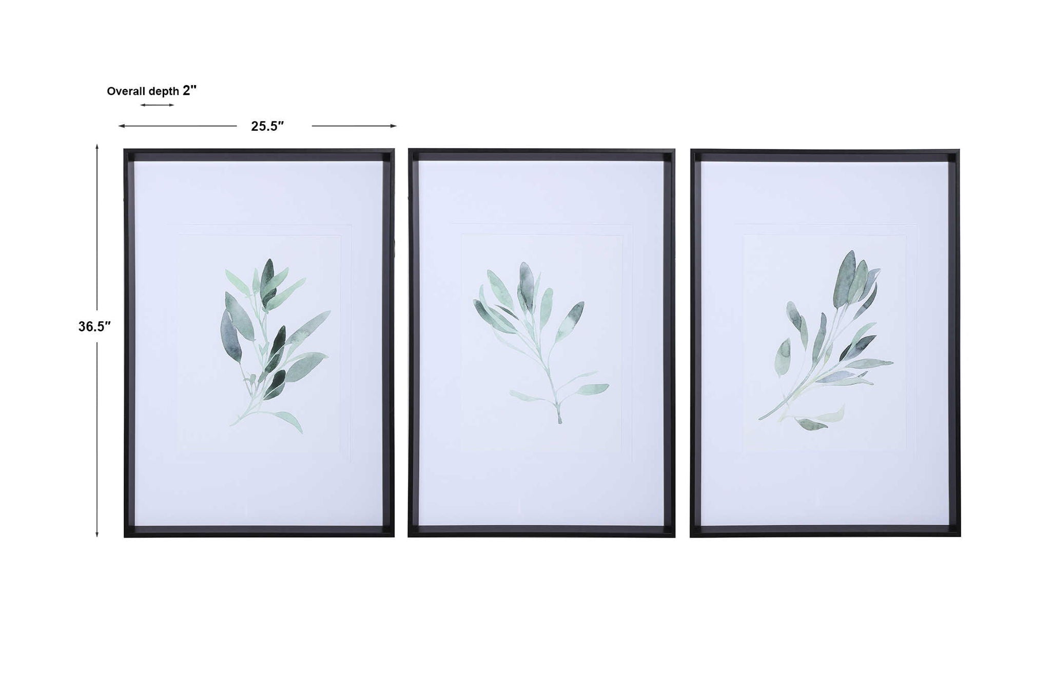 Simple Sage - Watercolor Prints (Set of 3) - White - Image 2