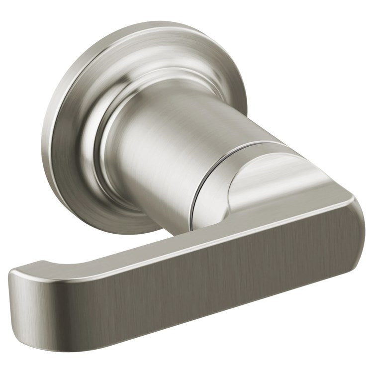 Handle Assembly Tetra 3-3/4 Inch 1 Lever Lumicoat Stainless ADA for Tetra Wall Mount Tub Filler