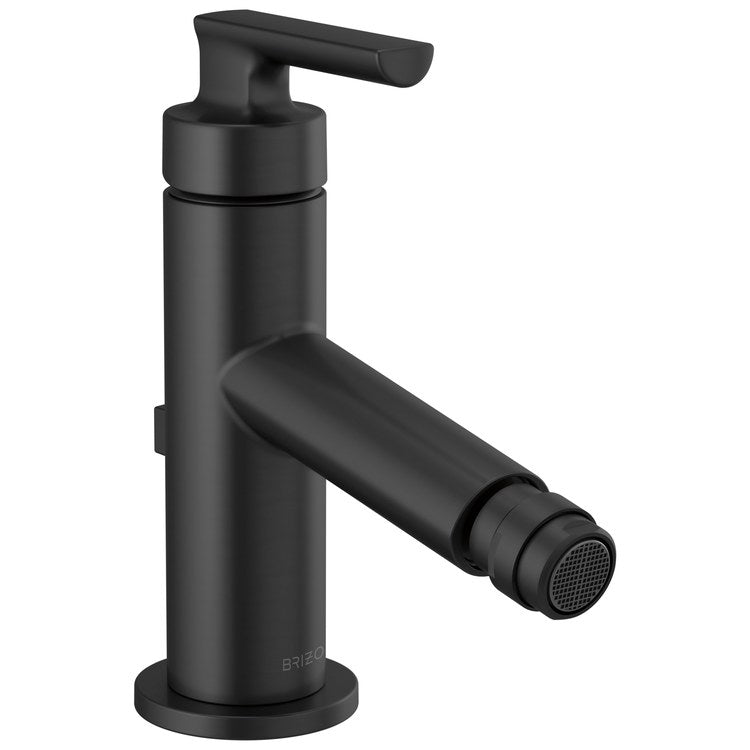 Bidet Faucet 1 Lever ADA Matte Black Metal Pop-Up Drain 1 Hole