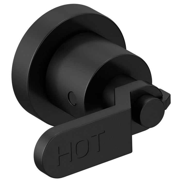 Handle Kit Litze Zinc 2 Industrial Lever Matte Black ADA for Wall Mount Tub Filler