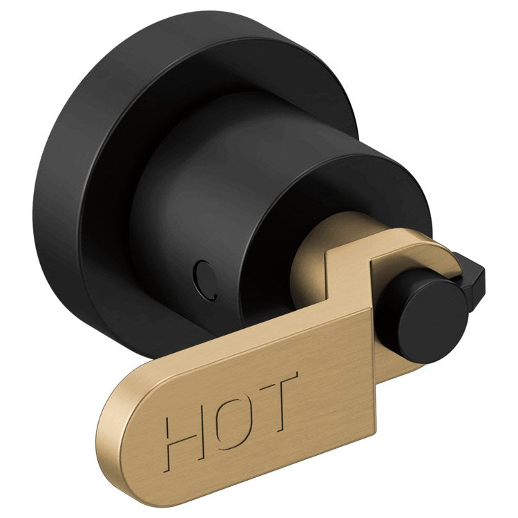 Handle Kit Litze Zinc 2 Industrial Lever Matte Black/Brilliance Luxe Gold ADA for Wall Mount Tub Filler - Image 1