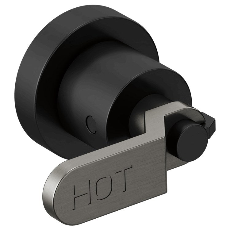 Handle Kit Litze Zinc 2 Industrial Lever Matte Black/Brilliance Luxe Steel ADA for Wall Mount Tub Filler - Image 1