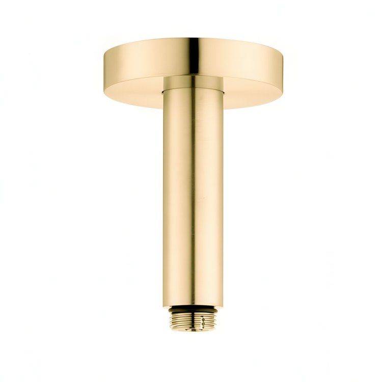 Extension Pipe Raindance E Brushed Gold Optic 4 Inch for Ceiling Mount