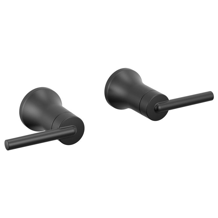 Handle Kit Trinsic Zinc 2 Lever Wall Matte Black ADA for Lavatory Faucet
