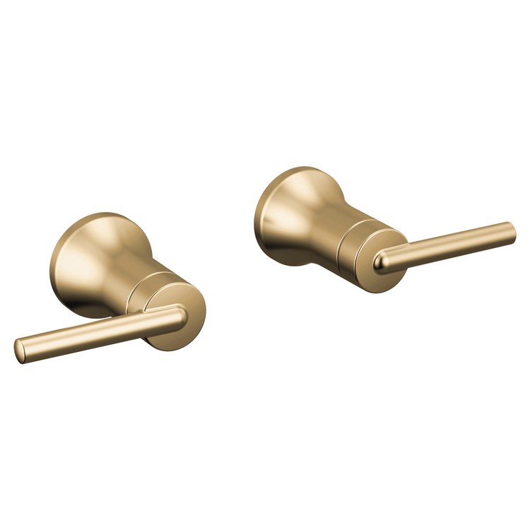 Handle Kit Trinsic Zinc 2 Lever Wall Champagne Bronze ADA for Lavatory Faucet - Image 1