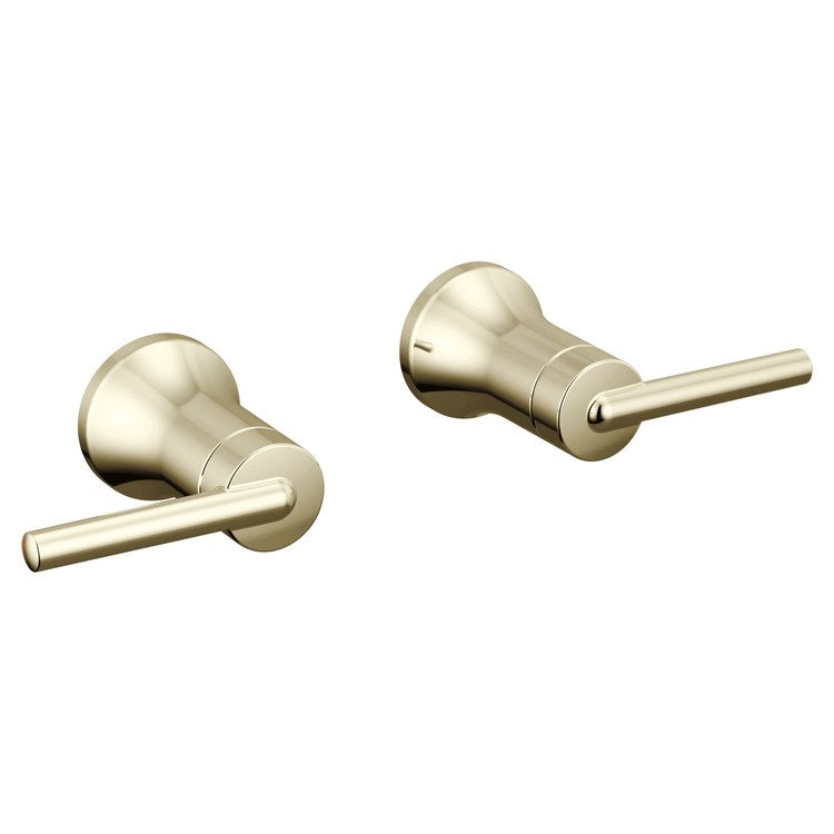 Handle Kit Trinsic Zinc 2 Lever Wall Polished Nickel ADA for Lavatory Faucet - Image 1