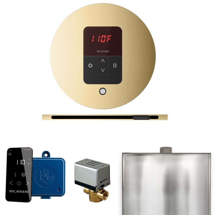 Steam Kit Basic Butler Linear Polished Brass Control Package Linear Round - Image 1