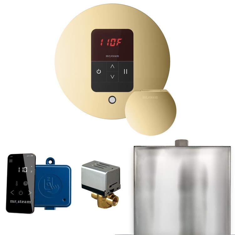 Steam Kit Basic Butler Polished Brass Control Package Round - Image 1