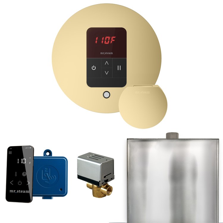 Steam Kit Basic Butler Satin Brass Control Package Round - Image 1