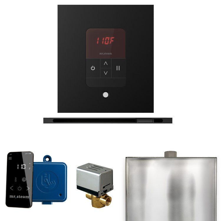 Steam Kit Basic Butler Linear Matte Black Control Package Linear Square - Image 1