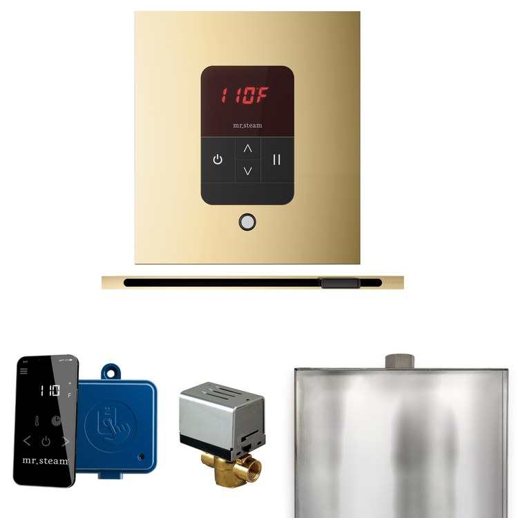 Steam Kit Basic Butler Linear Polished Brass Control Package Linear Square - Image 1