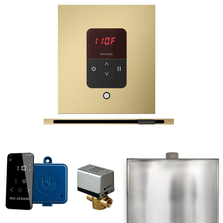Steam Kit Basic Butler Linear Satin Brass Control Package Linear Square - Image 1
