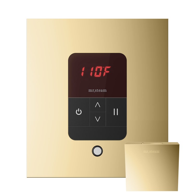 Steam Kit Basic Butler Polished Brass Control Package Square - Image 2