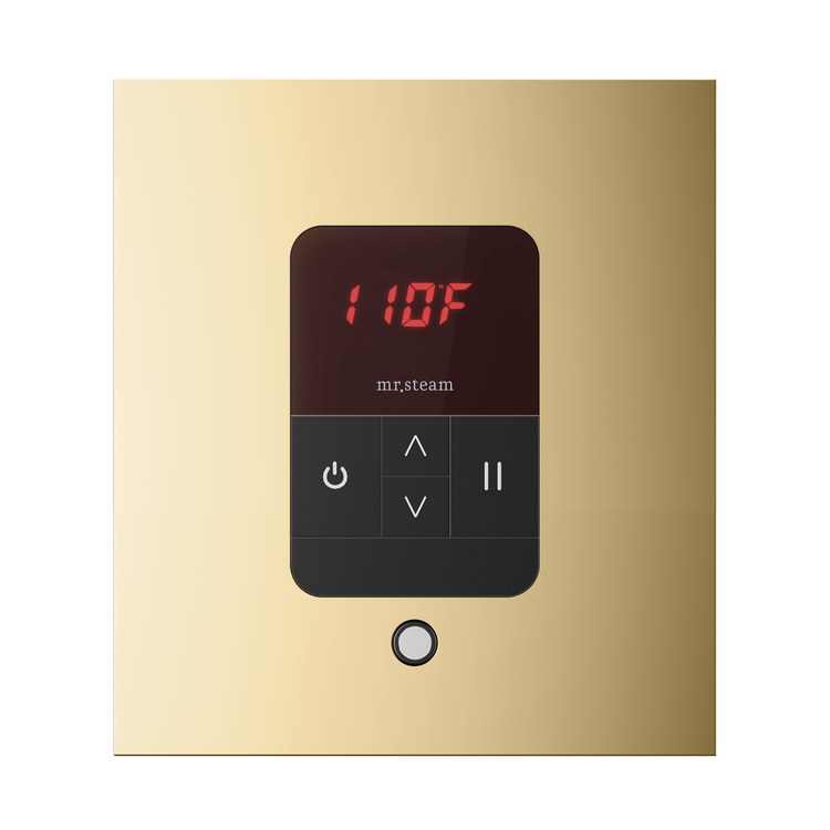 Steam Kit Basic Butler Polished Brass Control Package Square - Image 3