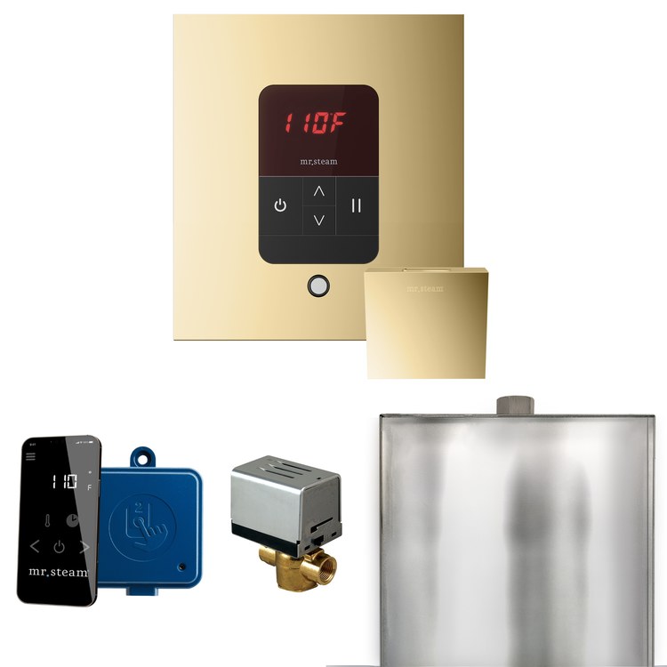 Steam Kit Basic Butler Polished Brass Control Package Square - Image 1
