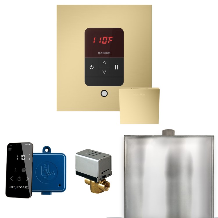 Steam Kit Basic Butler Satin Brass Control Package Square - Image 1