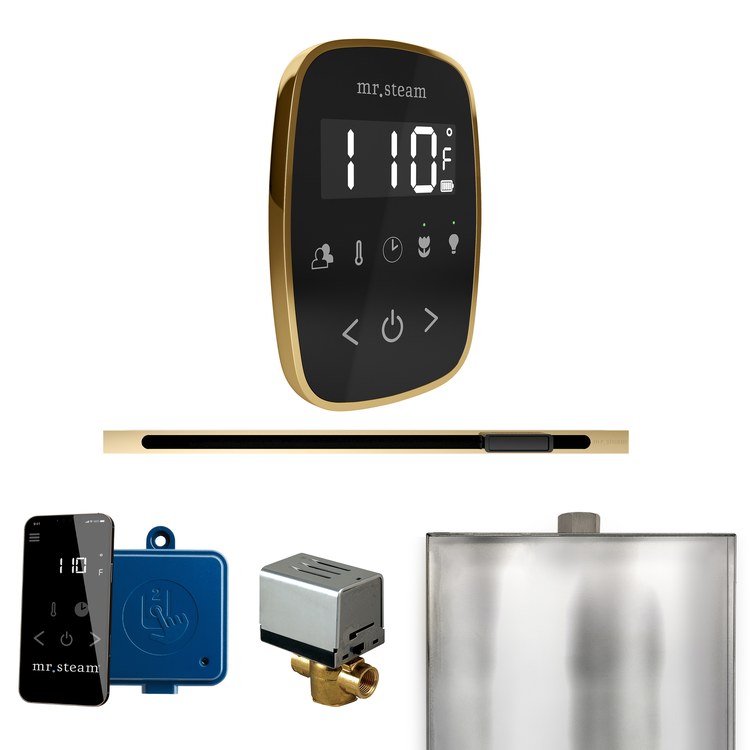 Steam Kit ButlerFlex Linear Black/Polished Brass Control Package for MS90 to MSSUPER3 - Image 1