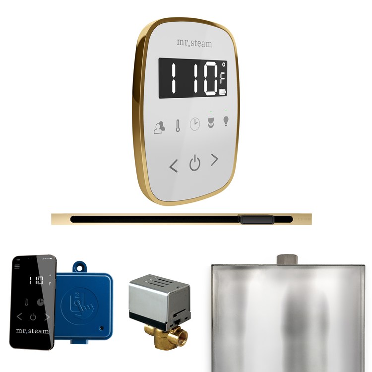 Steam Kit ButlerFlex Linear White/Polished Brass Control Package for MS90 to MSSUPER3 - Image 1