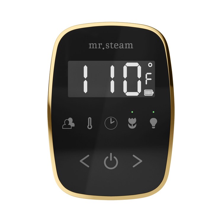 Steam Kit ButlerFlex Max Black/Polished Brass Control Package for MS4/MS5/MX6 - Image 2